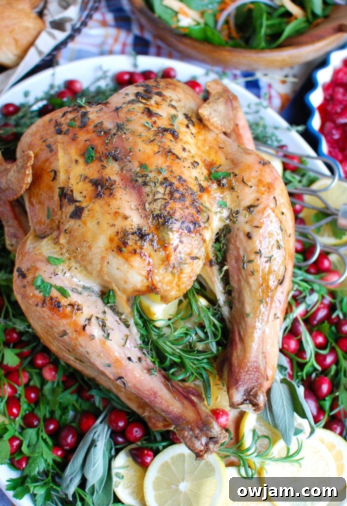 Holiday Herb Butter Turkey 3 Close-up of Herb Butter Roasted Turkey, showing crispy skin and herbs