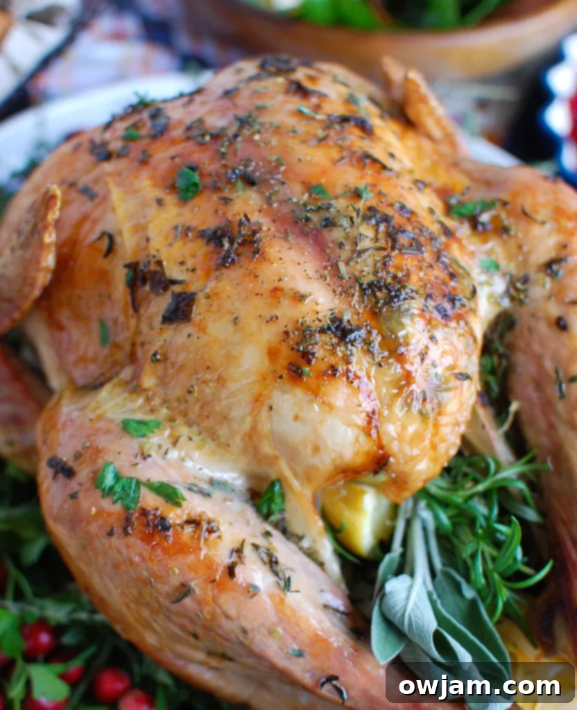 Holiday Herb Butter Turkey 6 Herb Butter Roasted Turkey with fresh cranberries and herbs as garnish