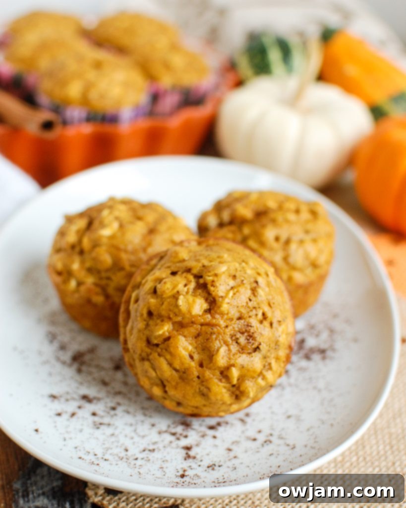 Easy Pumpkin Muffins on white plate