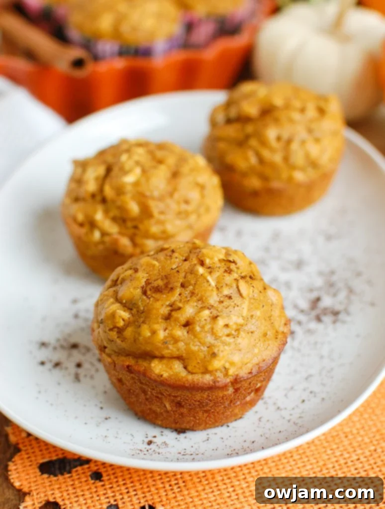 Easy Pumpkin Muffins Three 
