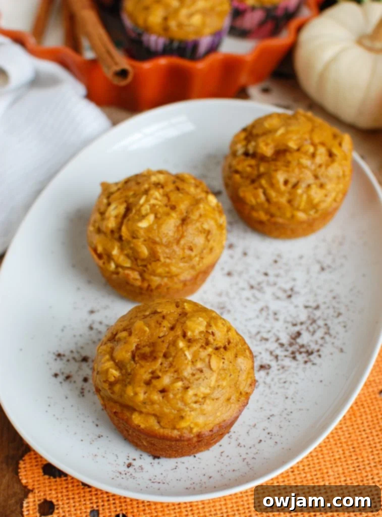 Effortless Autumn Pumpkin Muffins 4 Easy Pumpkin Muffins White Platter
