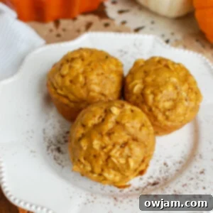 Effortless Autumn Pumpkin Muffins 5 img 30024 4