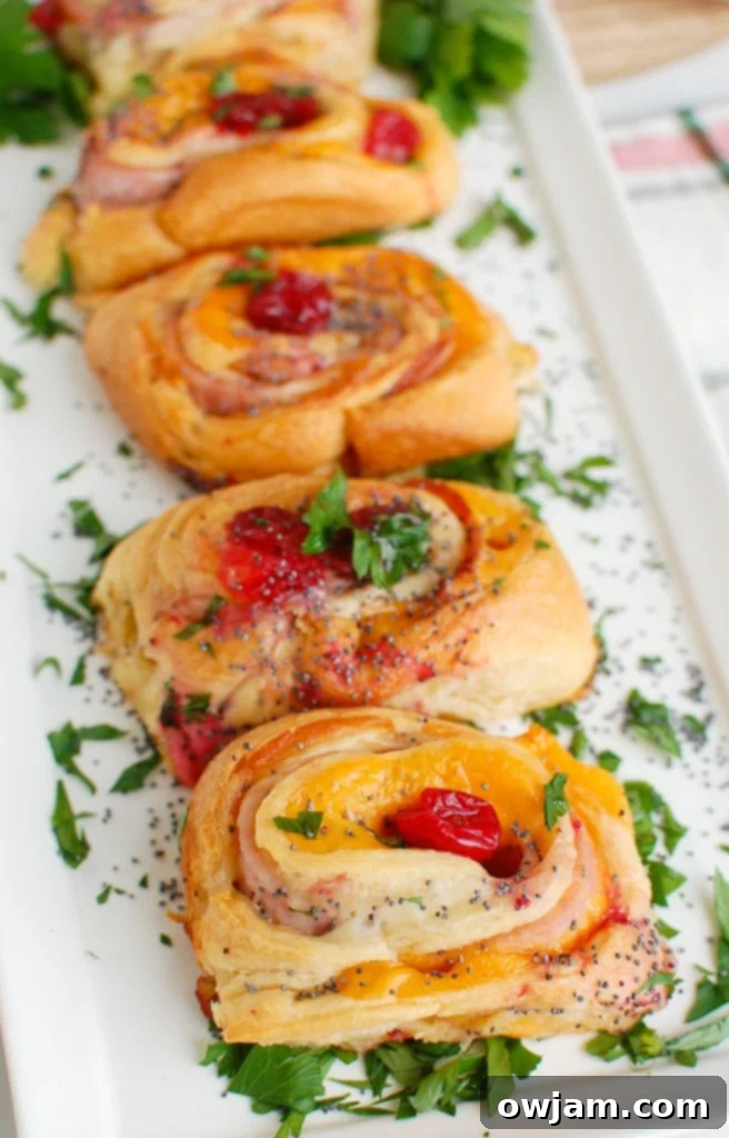 Ham Cheese and Cranberry Pinwheels 2 Ham Cheese and Cranberry Rollups on white platter, ready to serve at a holiday party