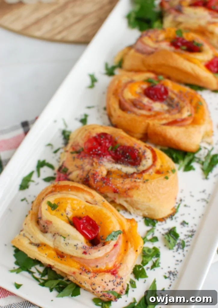 Ham Cheese and Cranberry Pinwheels 3 Close-up of baked Ham Cheese and Cranberry Rollups arranged in a white dish, garnished with parsley