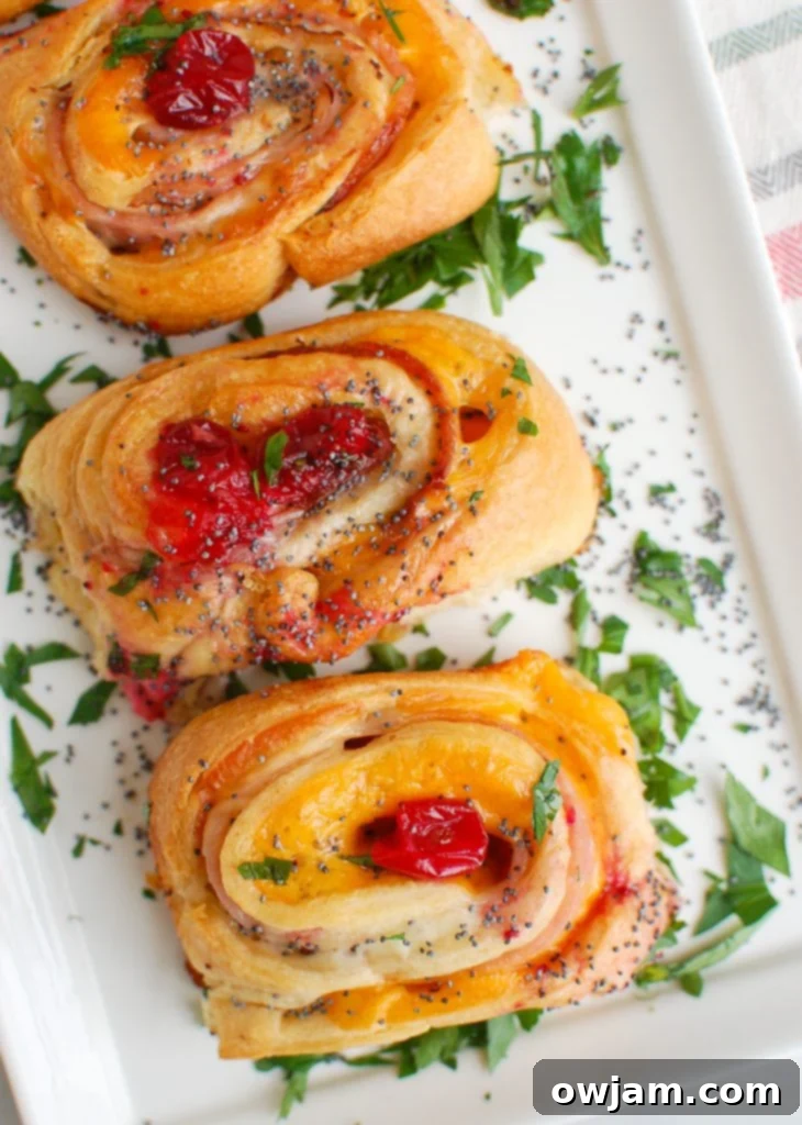 Ham Cheese and Cranberry Pinwheels 5 Freshly baked Ham Cheese and Cranberry Rollups cooling on a white plate