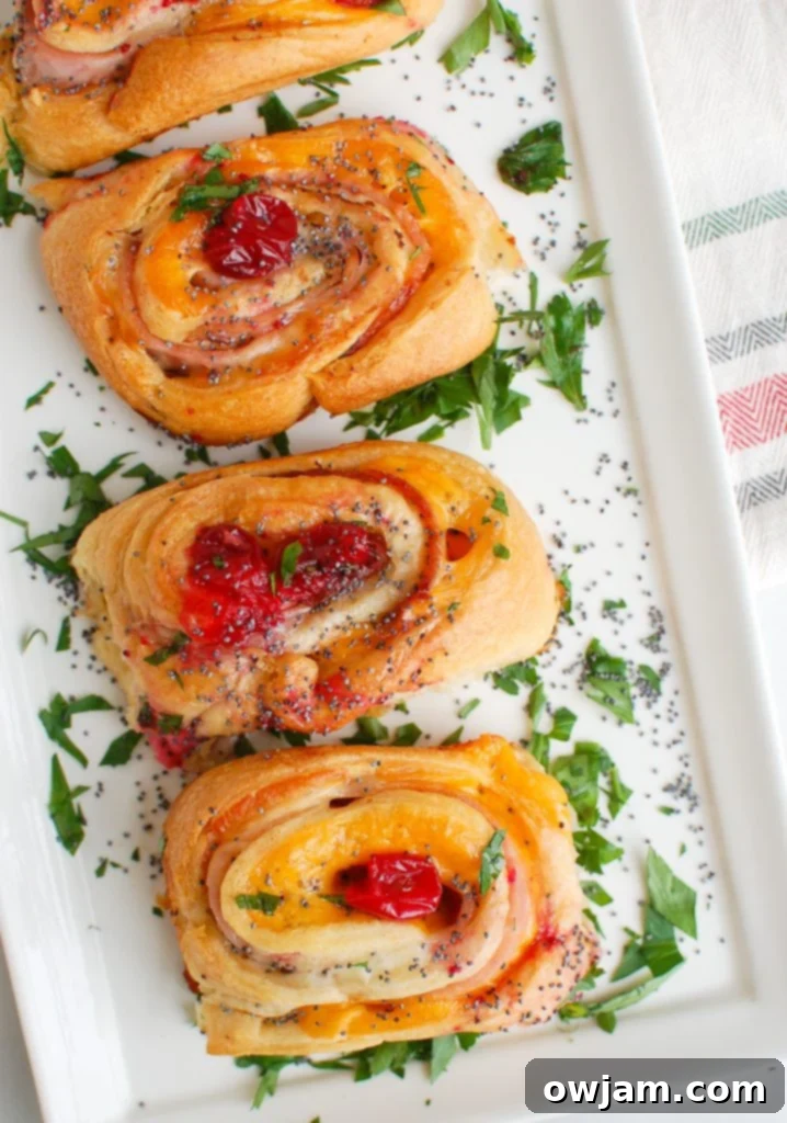 Ham Cheese and Cranberry Pinwheels 6 A serving of Ham Cheese and Cranberry Rollups on a white plate, ready for a holiday spread