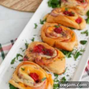 Ham Cheese and Cranberry Pinwheels 7 Ham Cheese and Cranberry Rollups, a festive holiday appetizer