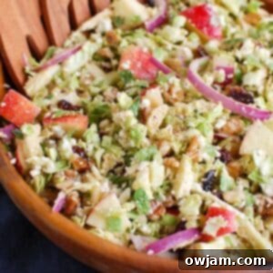Tangy Goat Cheese, Crisp Apple & Shaved Brussels Sprout Salad 6 Brussels Sprout Apple Goat Cheese Salad in a square bowl