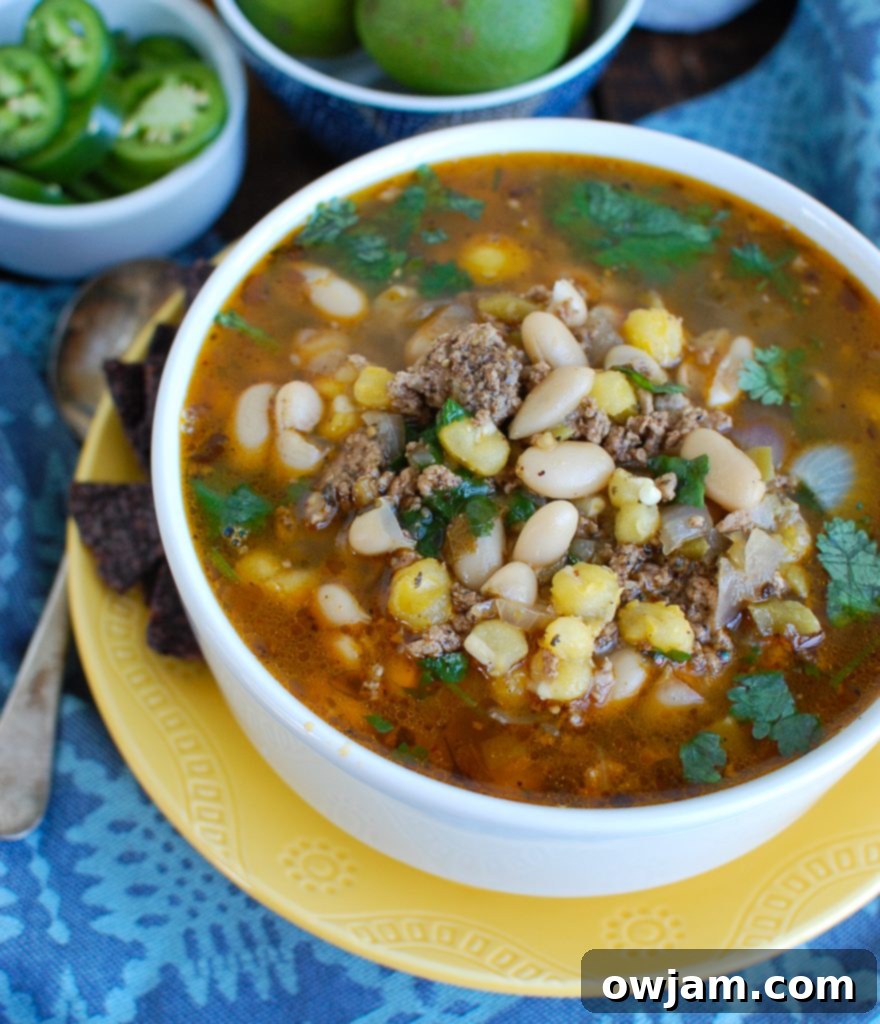 Instant Pot Pork Chili Verde on a plate