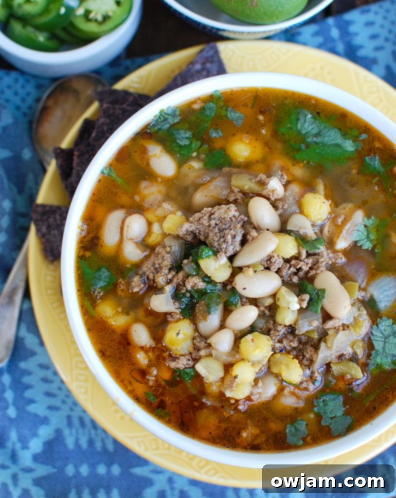 Instant Pot Pork Chili Verde in a white bowl