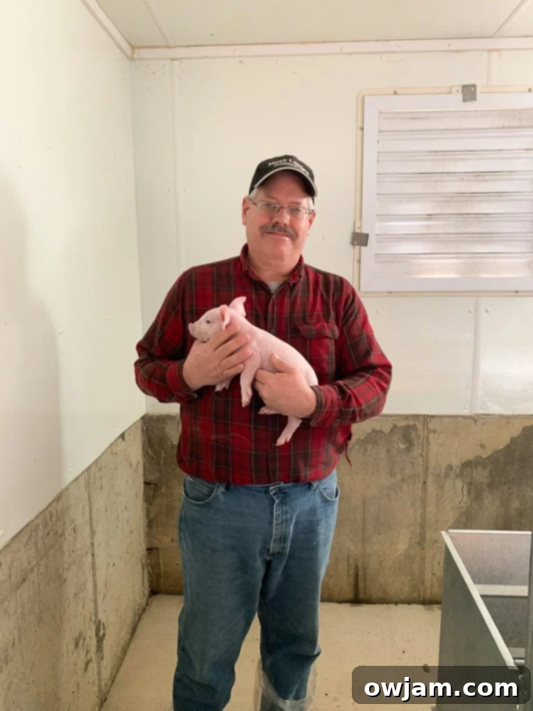 Clean and well-maintained interior of a hog barn at Shoup Brothers Farm