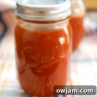Farm-to-Bottle BBQ: My Ohio Hog Farm Adventure 9 Homemade Barbecue Sauce in Mason Jar