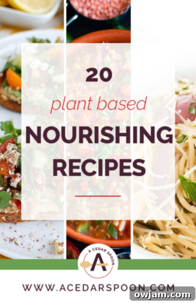 20 Plant Based Vegetarian Recipes - A vibrant collage of various plant-based dishes including soups, pastas, and bowls, showcasing fresh ingredients and healthy meals.