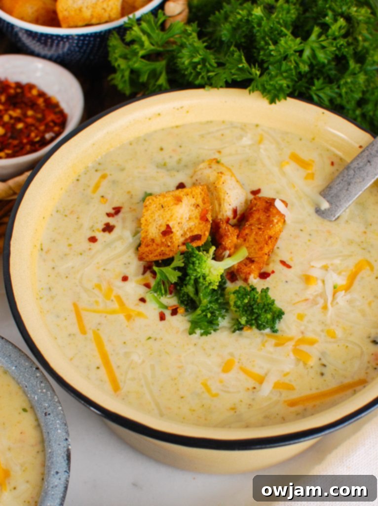 Instant Pot Broccoli Cheese Soup with Ladle