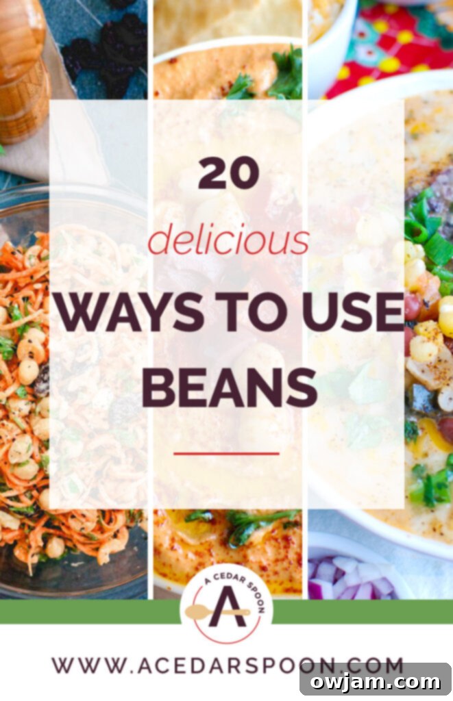 20 Delicious Ways to Use Beans Collage - A collection of diverse bean-based recipes including soups, salads, and dips.