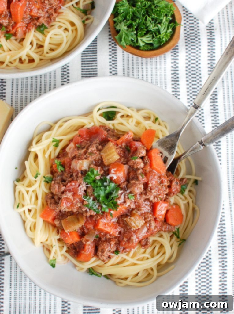 Slow Cooker Spaghetti Sauce Above