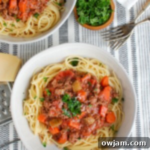 Slow Cooker Spaghetti Sauce Two Bowls