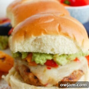 Gourmet Pork Burgers 6 Pork Burgers 1200 x 1200