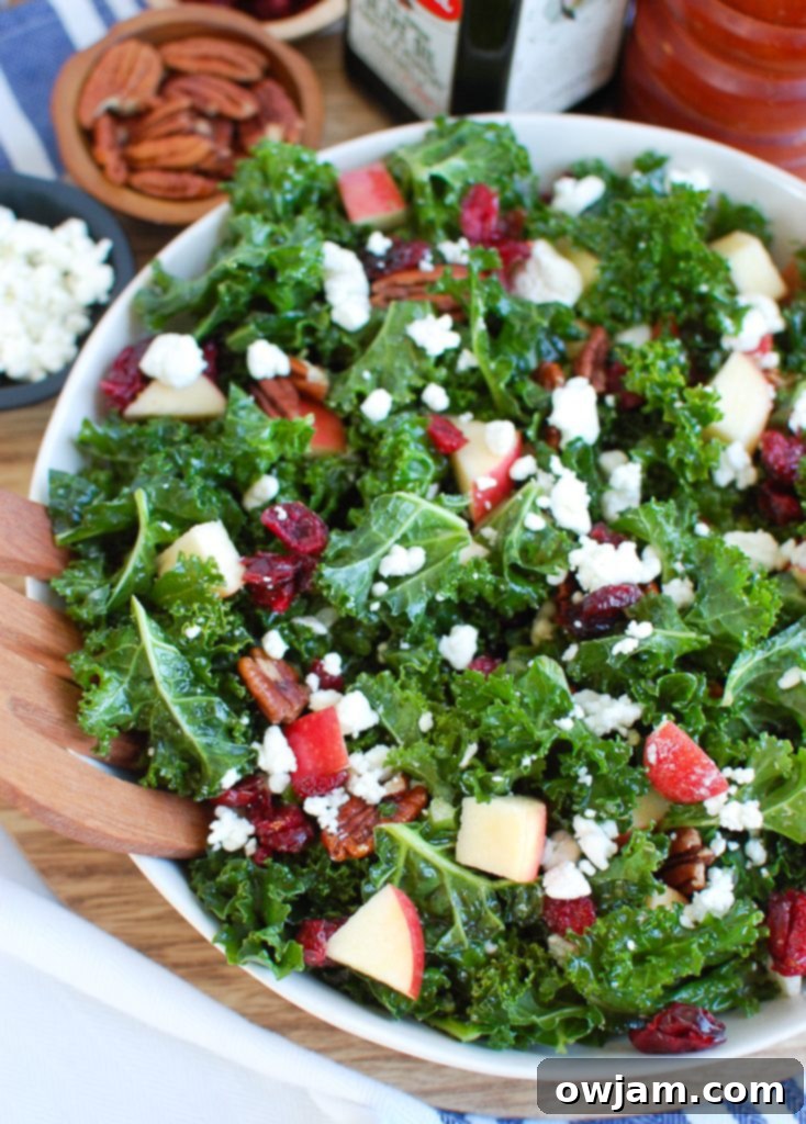 Vibrant Kale Cranberry Salad 2 Kale Salad with Cranberries in white bowl