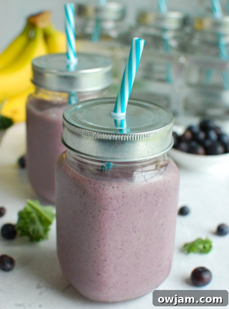 Vibrant Berry Green Elixir 4 Blueberry Kale Smoothie two glasses.