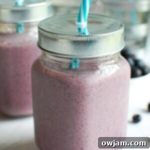 Vibrant Berry Green Elixir 6 Blueberry Kale Smoothie 1200 x 1200