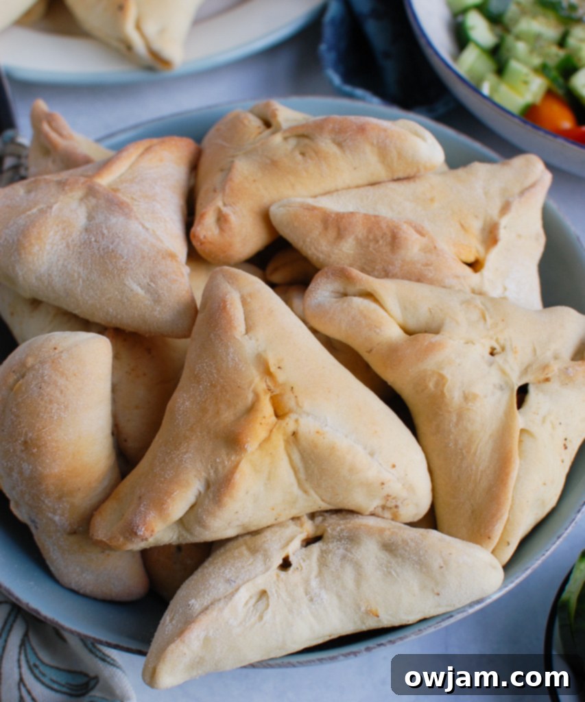 A serving of Lebanese Meat Pies (Sfeeha) in a rustic bowl, garnished with fresh herbs, ready to be enjoyed as a savory appetizer or main course.