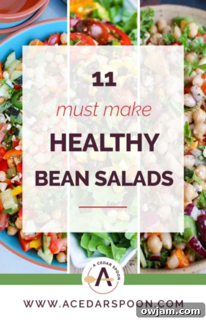 A vibrant assortment of 11 healthy bean salads with various vegetables and fresh ingredients.