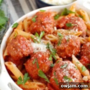 Succulent Pork Meatballs 7 Pork Meatballs 1200 x 1200