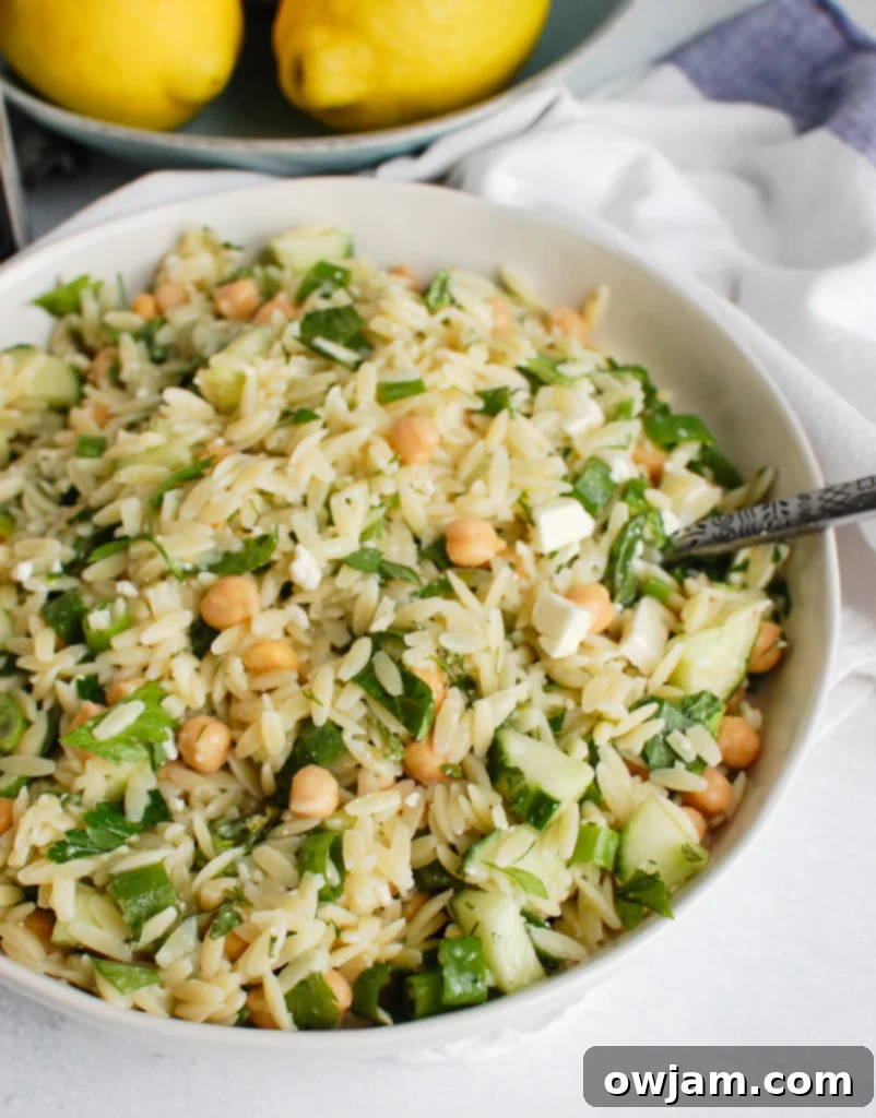 Delicious Chickpea Salad 2 Fresh Chickpea Orzo Salad in a white bowl, ready to be served
