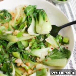 Effortless Bok Choy 7 Easy Bok Choy Recipe 1200 x 1200