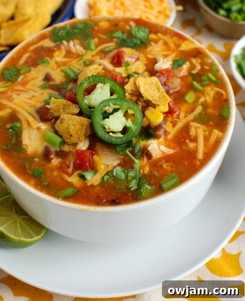 Fiesta Chicken Enchilada Soup 2 Cozy bowl of Slow Cooker Chicken Enchilada Soup, garnished with fresh cilantro and cheese.