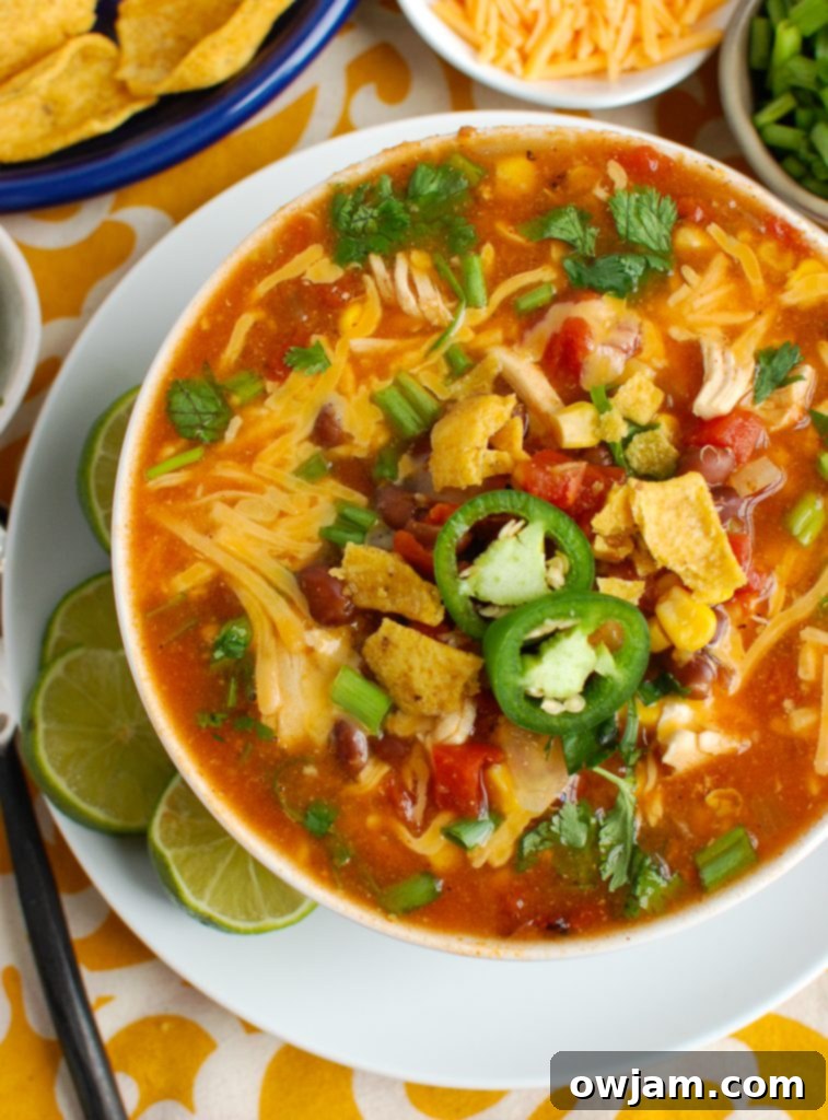 Fiesta Chicken Enchilada Soup 3 Close-up of Chicken Enchilada Soup with fresh jalapeños, ready to be served.