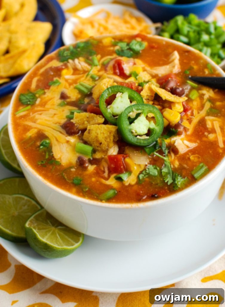 Fiesta Chicken Enchilada Soup 4 Bowl of Chicken Enchilada Soup with a spoon, highlighting its rich texture and ingredients.