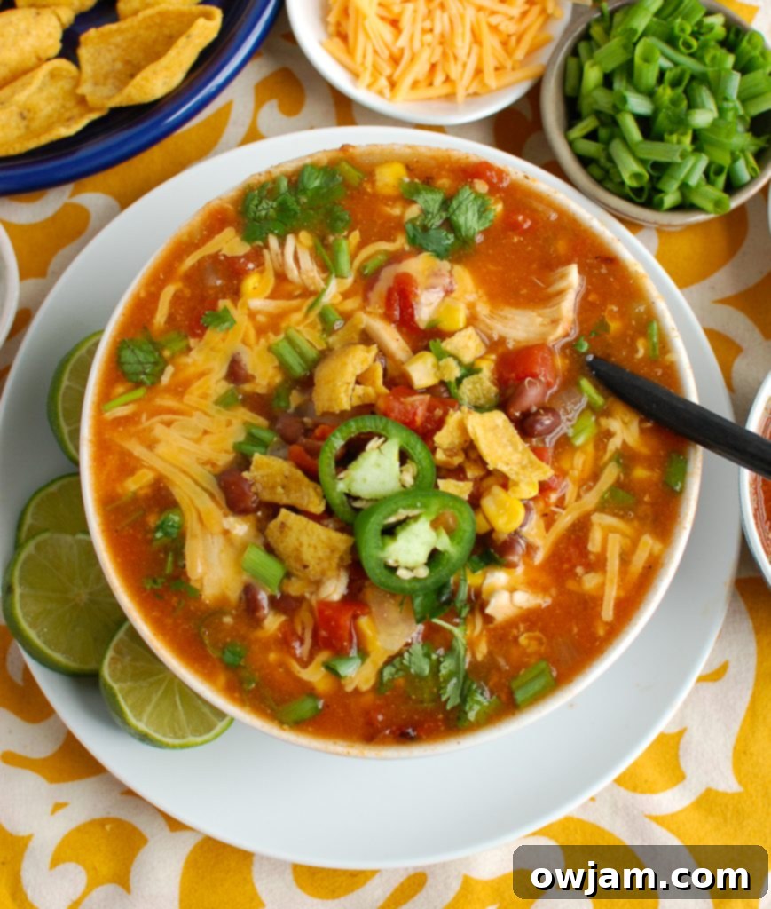 Fiesta Chicken Enchilada Soup 5 Chicken Enchilada Soup generously topped with melted cheese, ready for enjoyment.