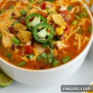 Fiesta Chicken Enchilada Soup 6 Chicken Enchilada Soup in a rustic bowl, garnished with fresh cilantro and cheese, ready to be enjoyed.