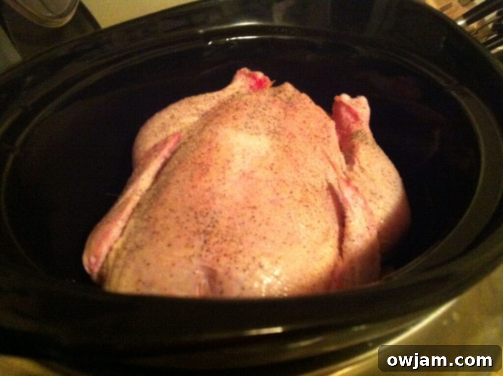 Slow Cooker Chicken Stock - chicken in the pot