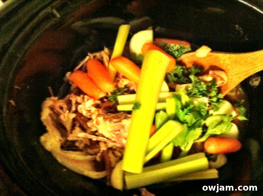 flavor - Slow Cooker Chicken Stock