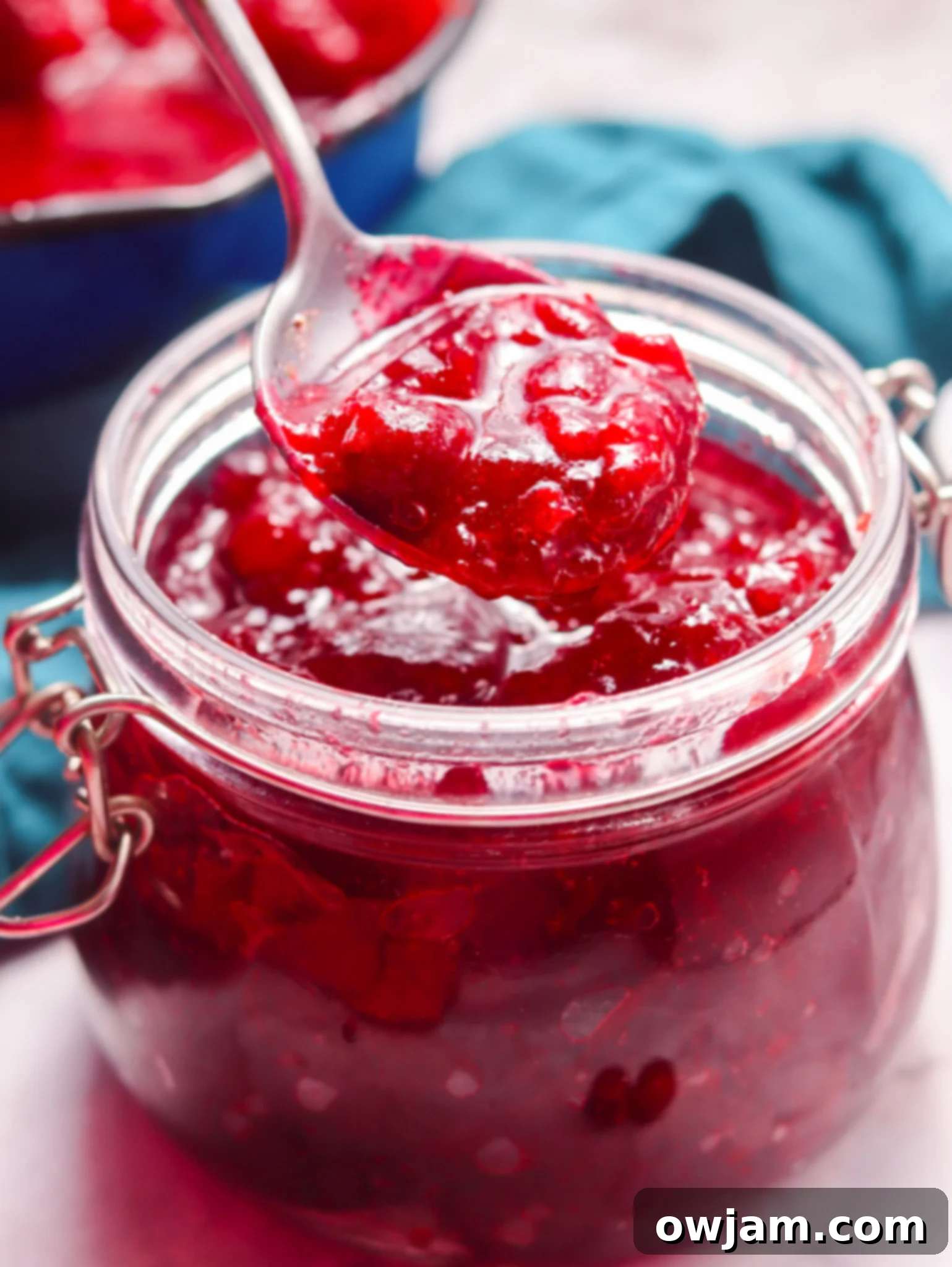 Perfect Homemade Cranberry Sauce 12 Homemade Cranberry Sauce Recipe with spoon in a serving dish, ready for holiday table.