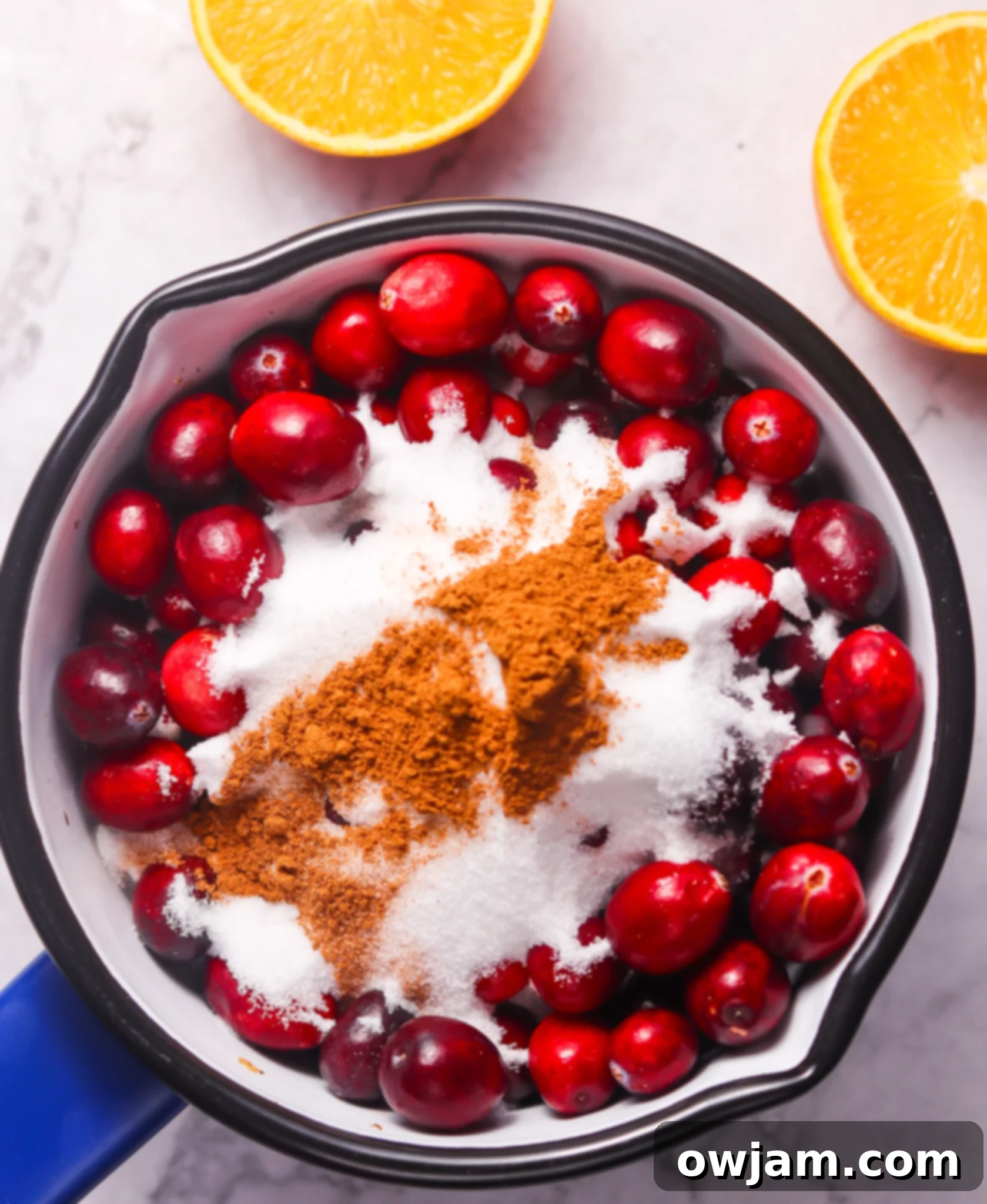 Homemade Cranberry Sauce Recipe ingredients in a bowl before cooking, showing fresh cranberries, sugar, and orange slices.