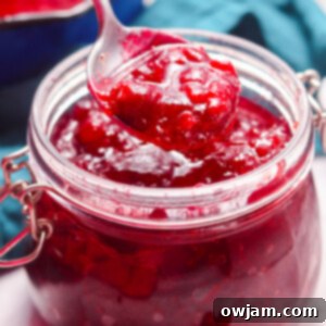 Homemade Cranberry Sauce Recipe with spoon.