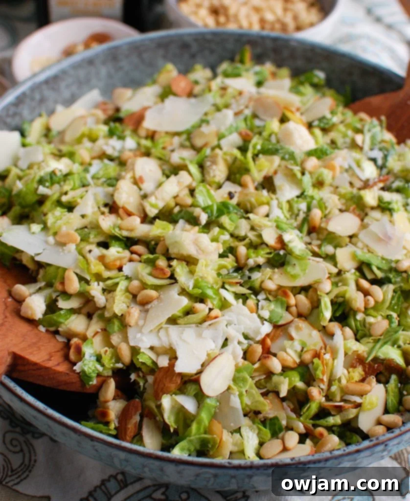 Brussels Ribbon Salad 3 Shaved Brussels Sprouts Salad in a blue bowl, garnished with fresh herbs.