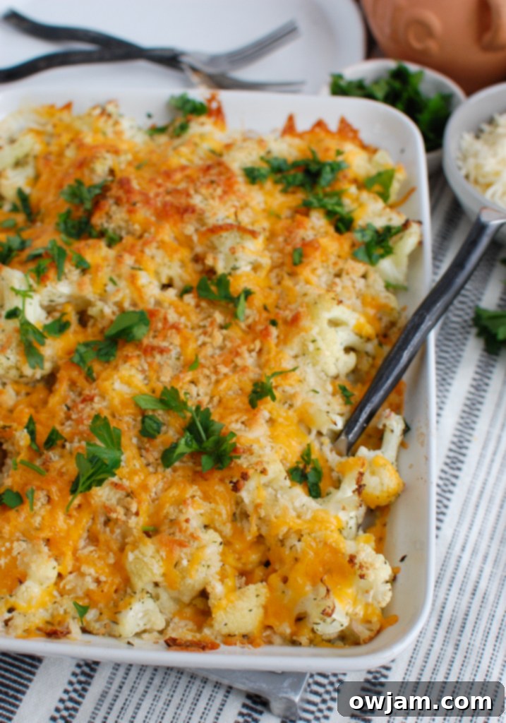 Cheesy Cauliflower Bake 4 A large white baking dish filled with Cauliflower Gratin, ready to be served, showing the crispy breadcrumb topping.