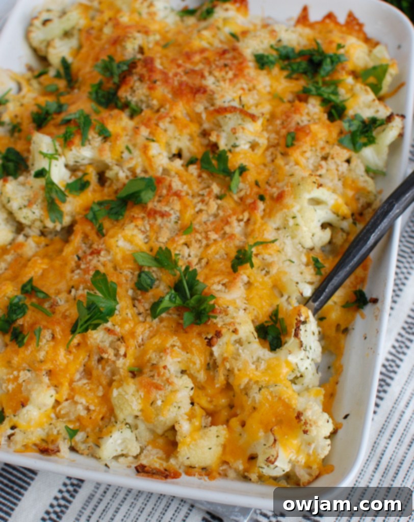 Cheesy Cauliflower Bake 6 A close-up of a generous serving of Cauliflower Gratin, showing the rich, melted cheese and toasted breadcrumbs.