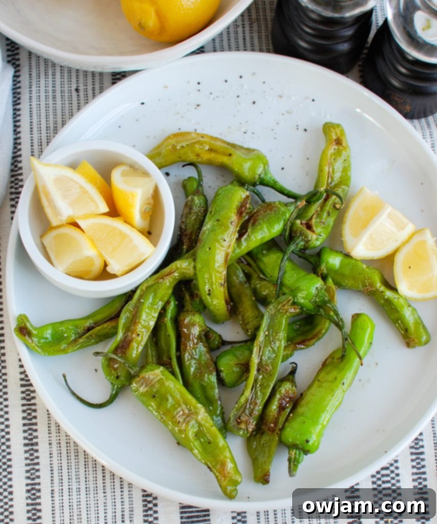 Unlock the Flavor of Shishito Peppers 2 Blistered Shishito Peppers served on a white plate, ready to eat