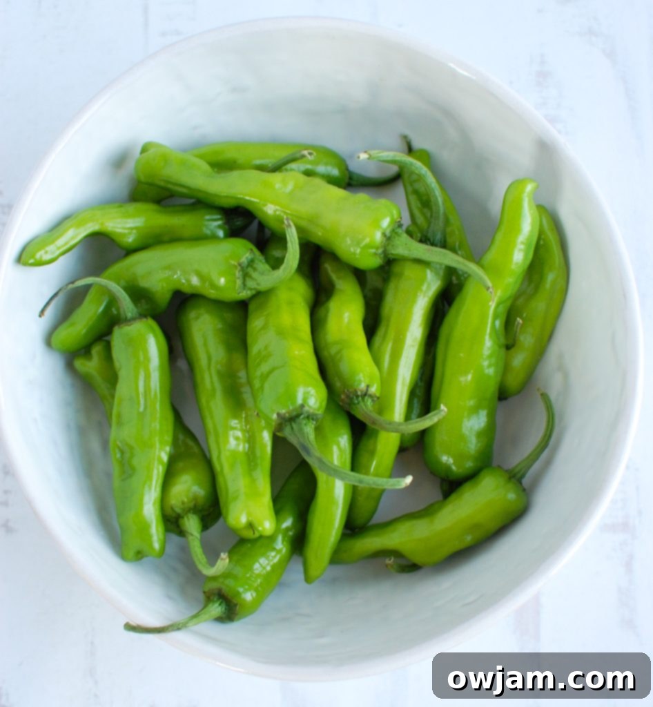 Unlock the Flavor of Shishito Peppers 3 Uncooked Shishito Peppers in a bowl before cooking