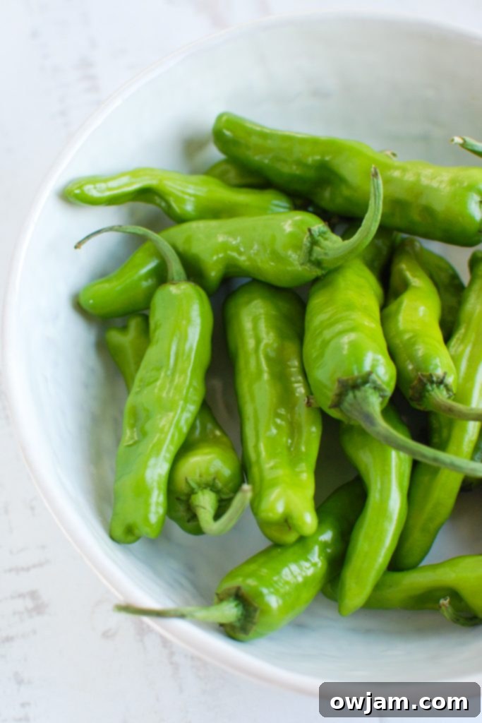 Unlock the Flavor of Shishito Peppers 4 Cooked Shishito Peppers garnished with fresh lemon wedges