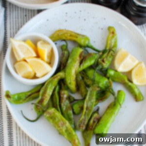 Unlock the Flavor of Shishito Peppers 6 Blistered Shishito Peppers on a white plate, ready to be served