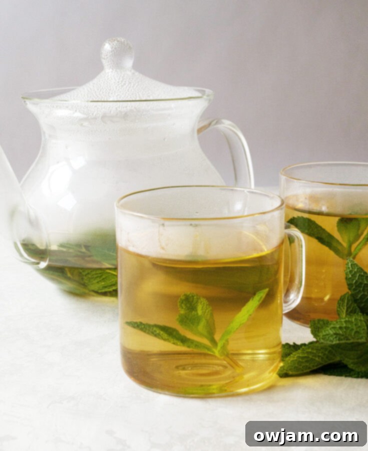 Refreshing Moroccan Mint Tea in a traditional glass