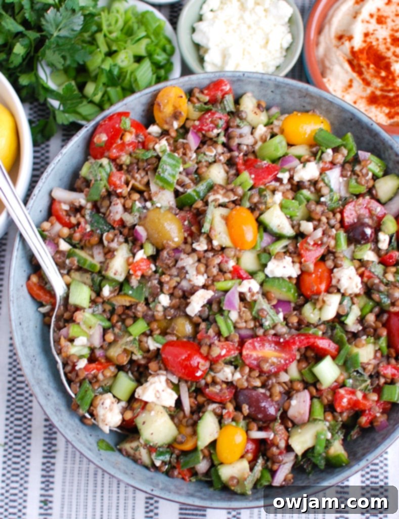 Vibrant Mediterranean Lentil Salad 2 Mediterranean Lentil Salad in a blue bowl with a silver spoon, showcasing fresh vegetables and tender lentils.