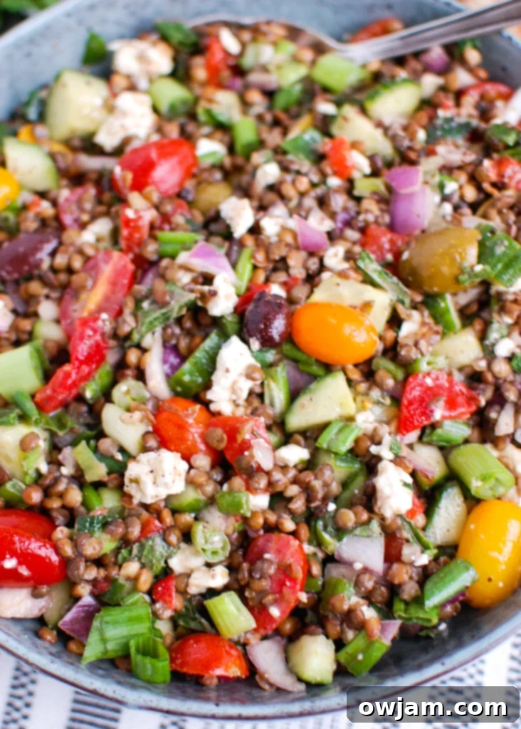 Vibrant Mediterranean Lentil Salad 4 Mediterranean Lentil Salad in a bowl with a spoon, highlighting its readiness to be served and enjoyed.